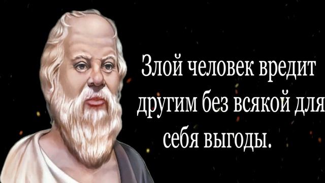 Цитаты Сократа – афоризмы и мудрые высказывания великого философа