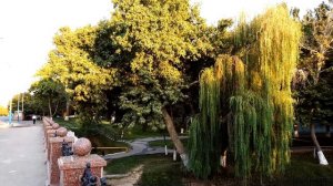 Узбекистан, Ташкент, Анхор, Театр Навои, Узбекские фильмы