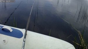 Видеоотчет о рыбалке, оз. Ильмень 29.07.2016, ловлю плотву на опарыша