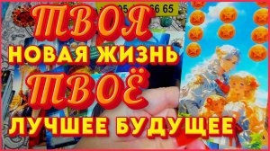 ТВОЯ НОВАЯ ЖИЗНЬ! ТВОЁ ЛУЧШЕЕ БУДУЩЕЕ! Алёна Ариес Таро #рутуб #новости #сегодня