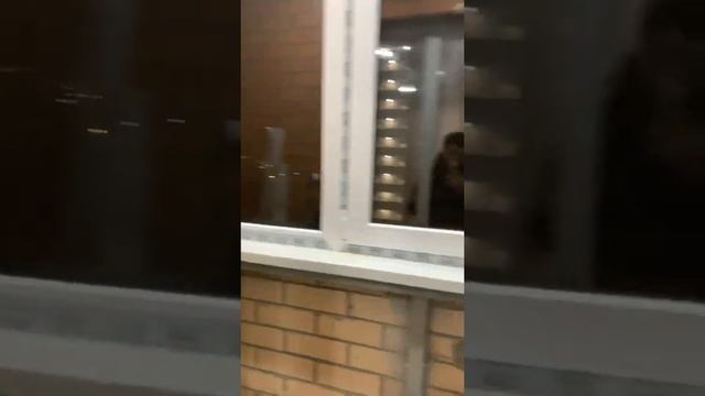 2к Квартира Жк «Семейный парк» смотреть онлайн