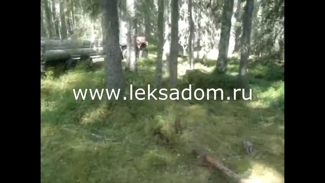 Вывозка сухарника для строительства деревянной бани