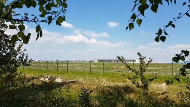 Селфипалка из коры и палки, подножный корм, пиявочка, байки из леса