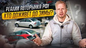 АВТОРЫНОК В РФ СЕГОДНЯ или КАК ДОЖИВАЮТ ОФ ДИЛЕРЫ. РЕАЛЬНОЕ ДНО и ЗАКРЫТИЯ УЖЕ СОВСЕМ БЛИЗКО!