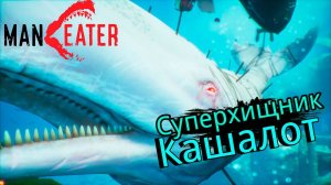 Кашалоты и ФИНАЛЬНЫЙ БОСС - MANEATER