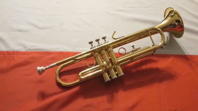 Narodowe Święto Niepodległości 11 XI 2018 смотреть онлайн