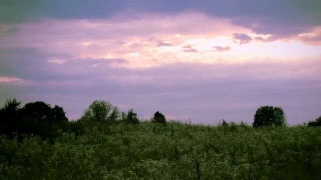 Заброшенная деревня в Калужской области.