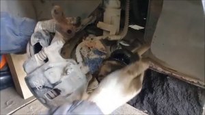 Замена наружнего пыльника ШРУСа Хенде Акцент