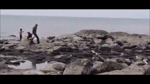Море в Таиланде отступило на два километра от берега. Почему? Загадочное явление или...