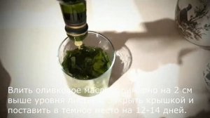 Как приготовить масло из Алоэ (Столетник) в домашних условиях