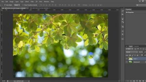 Ep.28 การตัดภาพด้วยฟังชั่น color range ใน photoshop