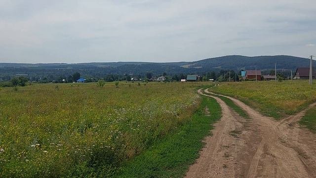 Поле