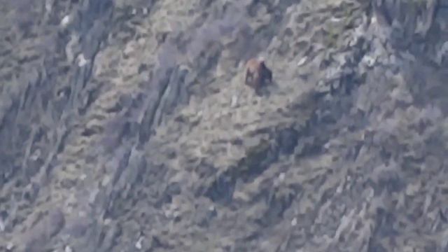 Республика Дагестан Цунтинский район село Хутрах#горы#цунта#2023г