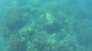 Ялта, Крым, Россия Пляж Санатория «Нижняя Ореанда» 6-й день часть 4