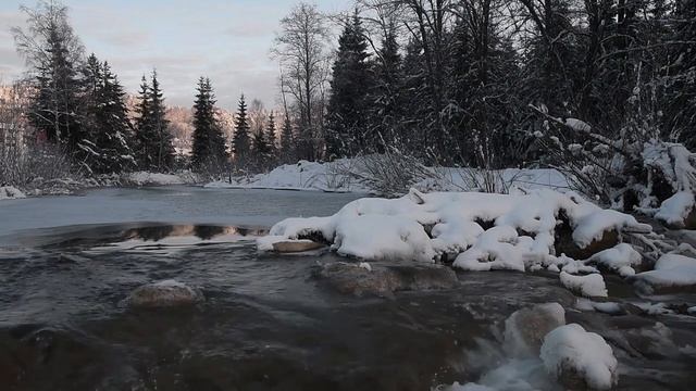 Нежный шум зимней реки и звуки снежного леса.Зимняя природа и плеск воды для расслабления,отдыха,сн