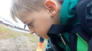 новая ящерица