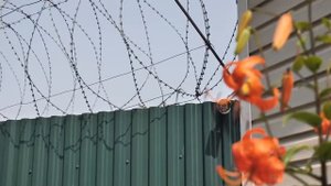 Ряды сотрудников Забайкальского УФСИН пополнили выпускники ведомственных вузов