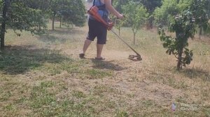 Husqvarna 240r karbantartás. Majd egy kis kaszálás, ahogy nem szabad??☀️