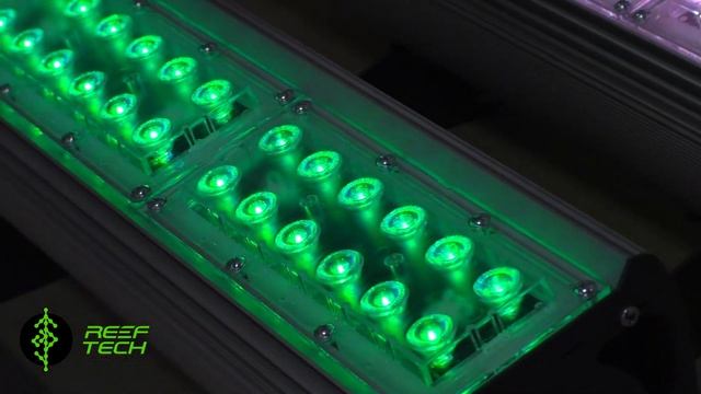 DMX декодер ReefTech DMX Q4 demo смотреть онлайн