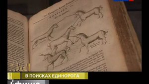 Технические неполадки канала Россия РТР 15 07 201317 30)