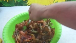 ГОТОВЛЮ НАСТОЙ ЛУКОВОЙ ШЕЛУХИ ДЛЯ ПОДКОРМОК. Ольга Чернова.