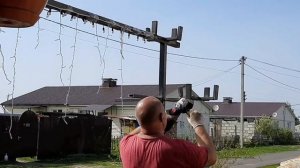 ПЕТУНИЕВОЕ ДЕРЕВО.НАЧАЛО РАБОТЫ.ПОДКОРМКА ПЕТУНИИ В ОТКРЫТОМ ГРУНТЕ.ОБЗОР ПЕТУНИИ ДЛЯ ДЕРЕВА.