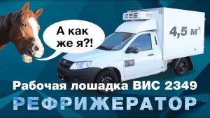 Обзор ВИС 2349 гранта, рефрижератор для перевозки охлажденной и замороженной рыбы | Автоцентр Сухина