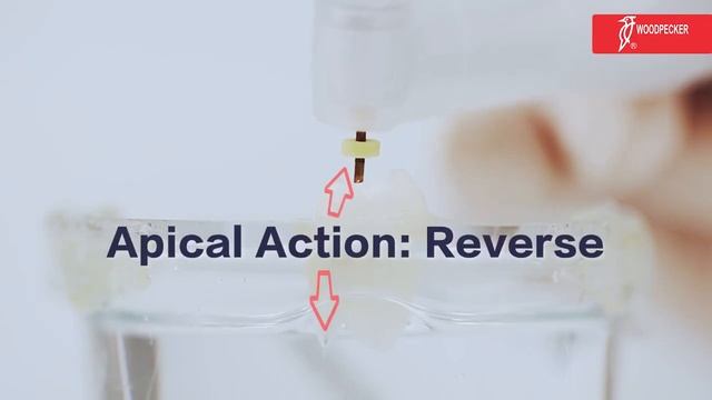 Ai-MOTOR – беспроводной эндомотор со встроенным апекслокатором и скоростью вращения до 1.200 об./ми