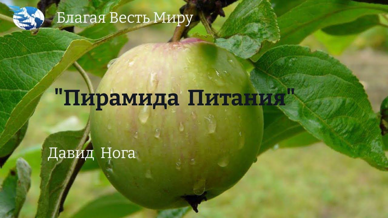 «Пирамида Питания» ( часть-1) / Давид Ног / 18.11.23 перевод на Азаербайджанский язык Эльшан Самедов