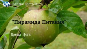 «Пирамида Питания» ( часть-1) / Давид Ног / 18.11.23 перевод на Азаербайджанский язык Эльшан Самедов