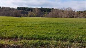 Ростовская область достопримечательности апрель 2020 Кашары,Вешенская.