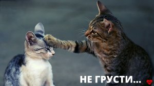 НЕ ГРУСТИ...