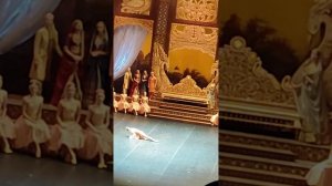 "Баядерка " Анжелина Воронцова, Михайловский театр 29.11.2023