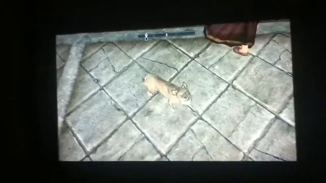 Skyrim:my daughter got a pet fox смотреть онлайн