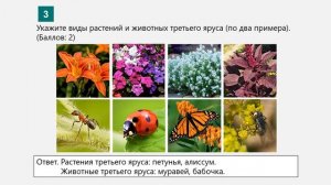 Биология 7 класс. Лабораторная работа №1. Исследование местной экосистемы