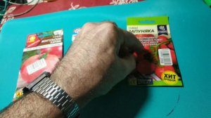 Семена томатов для ленивых садоводов! Отличный результат! #томаты