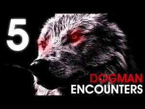 5 EERIE TRUE WEREWOLF ENCOUNTERS (Dogman, Werewolf) - What Lurks beneath