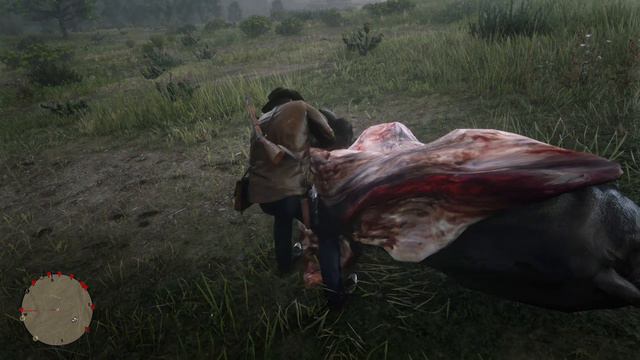 Thats a big boy #skinning Bison Red Dead Redemption 2 #RDR2 #Bison смотреть онлайн
