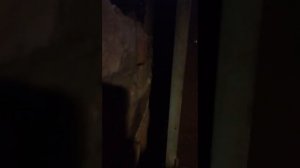 Пеллетная горелка Бегемот на котле Дон 16. Автомат, режим старт - стоп.
