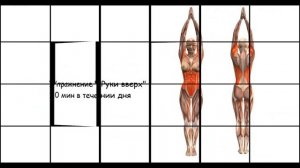 Упражнение "Руки вверх" / Exercise "Hands up"