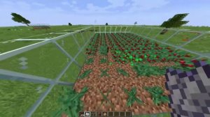 Автоматическая ферма сладкой ягоды в Minecraft 1.16.1.Afk ферма ягоды.