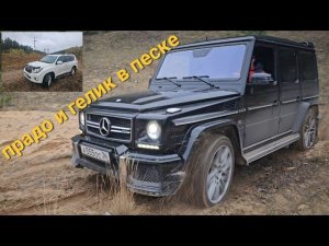 прадик и гелик в песке