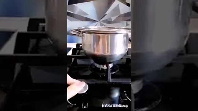 Рыба Лахтак, Морской Заяц, Вкус криветки смотреть онлайн