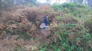 Stih FS450 with Autocut 40-2