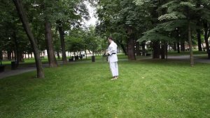 Вадо. Урок 5. Ката 1 - Пинан шодан