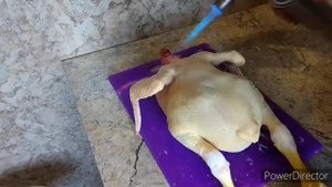 как обработать курицу от а до я