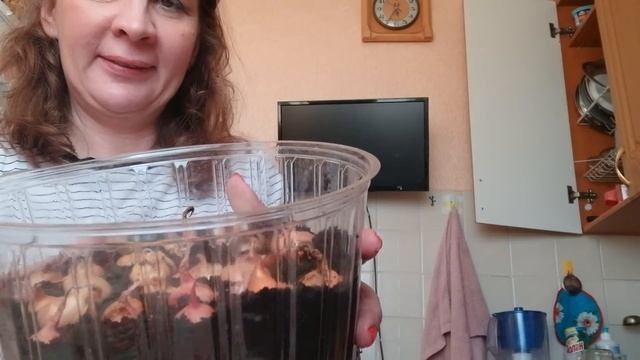 DIY сажаем лук и чеснок для женихов смотреть онлайн