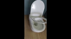 Унитаз подвесной Teymi Vitra безободковый, сиденье микролифт T40804