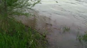 Паводок на реке Абакан.2018год.
