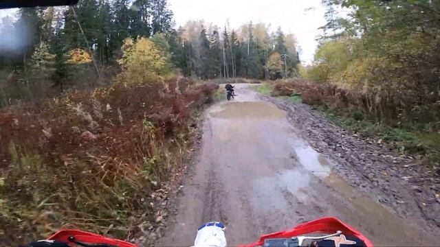 Сквозь Скользкий Лес На Питбайках / Покатушки на питбайке Бсе 125 и Кошайн 105 смотреть онлайн